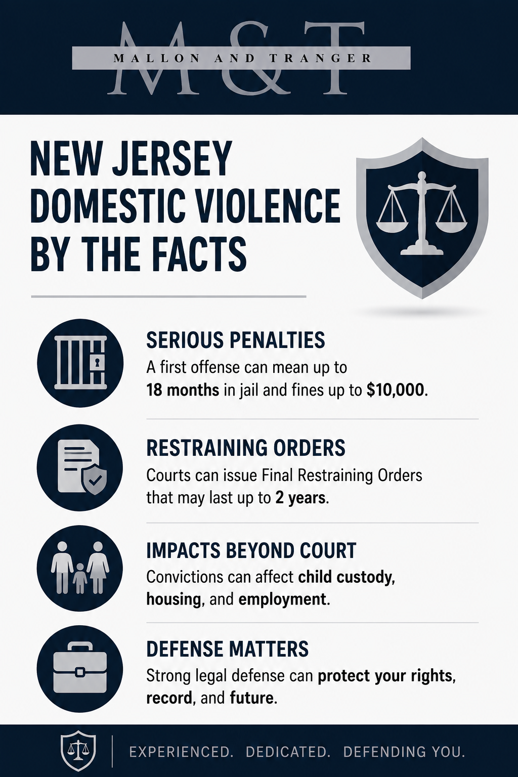 NJ Domestic Violence Infographic